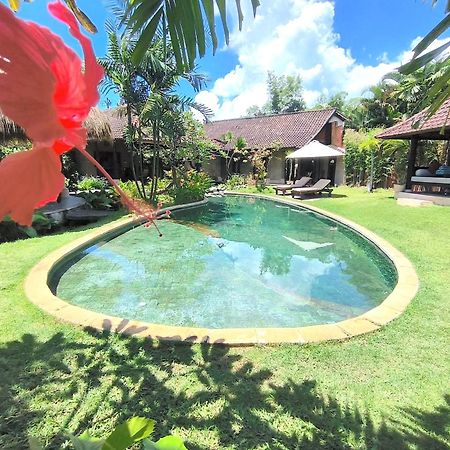 Villa Plawa Asri 세미냑 외부 사진